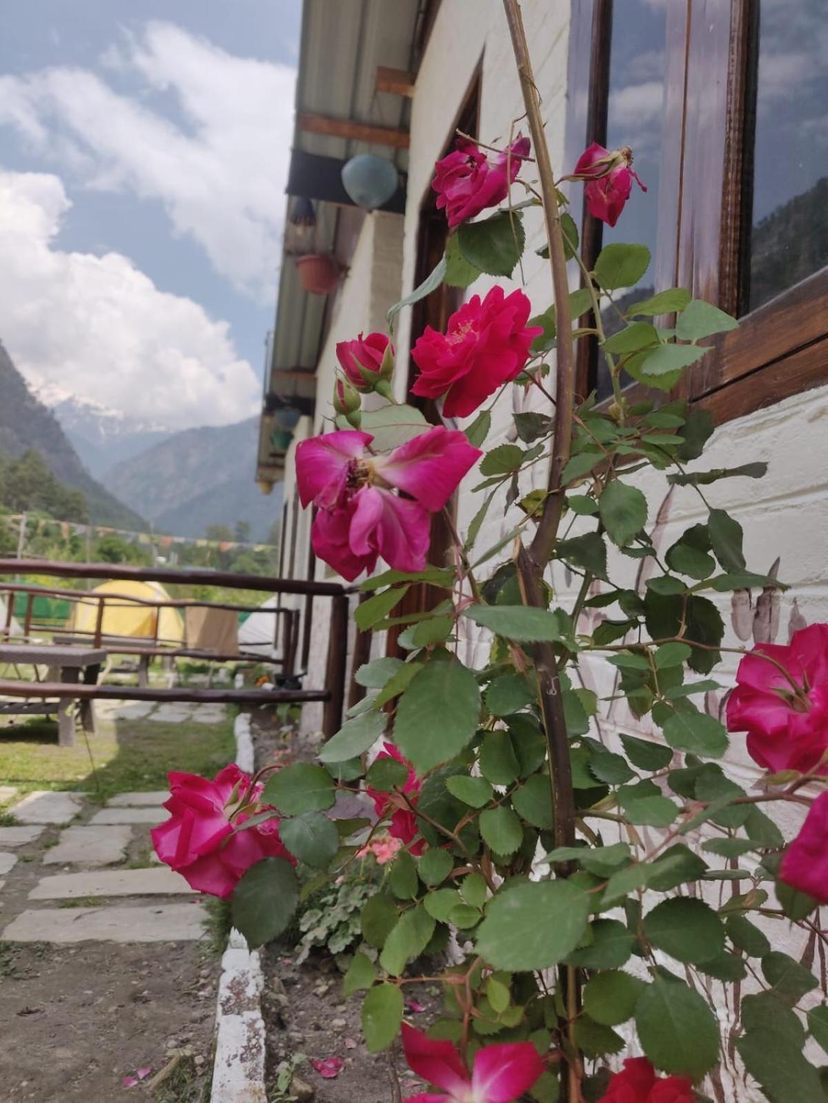 Himtrek Stay Касоль Экстерьер фото